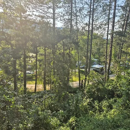 Les Bords De Lyonne Campsite